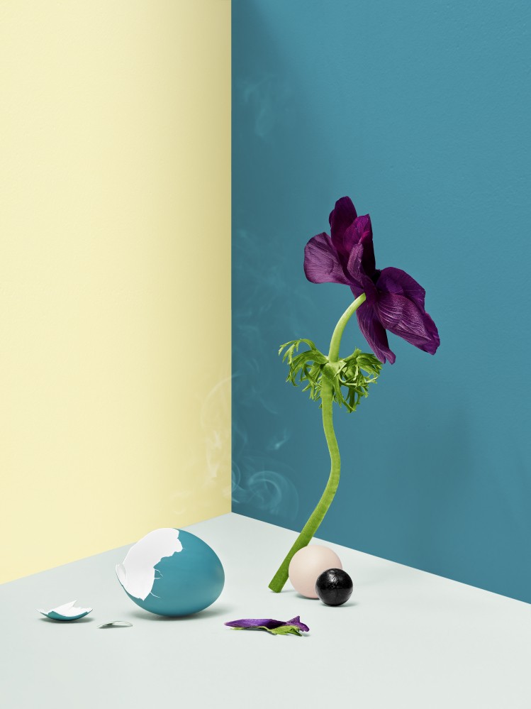 Casca de ovo pintada de azul em cima de uma mesa com uma flor em pé cor violeta